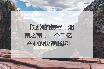 观潮的螃蟹丨湘南之南，一个千亿产业的快速崛起
