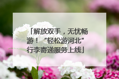 解放双手，无忧畅游！“轻松游河北”行李寄递服务上线