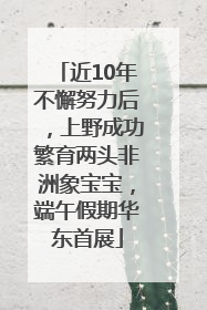 近10年不懈努力后，上野成功繁育两头非洲象宝宝，端午假期华东首展