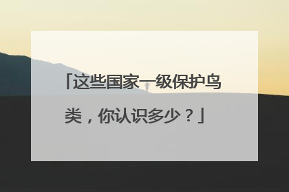这些国家一级保护鸟类，你认识多少？