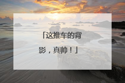 这推车的背影，真帅！