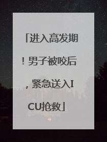 进入高发期！男子被咬后，紧急送入ICU抢救