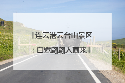 连云港云台山景区：白鹭翩翩入画来