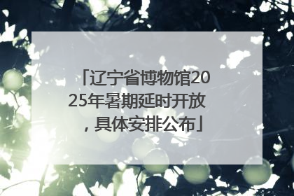 辽宁省博物馆2025年暑期延时开放，具体安排公布
