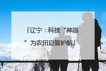 辽宁：科技“神器”为农田夏管护航