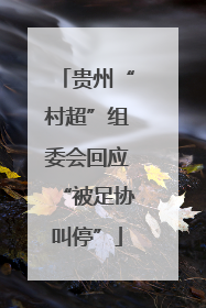贵州“村超”组委会回应“被足协叫停”