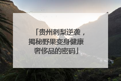 贵州刺梨逆袭，揭秘野果变身健康奢侈品的密码