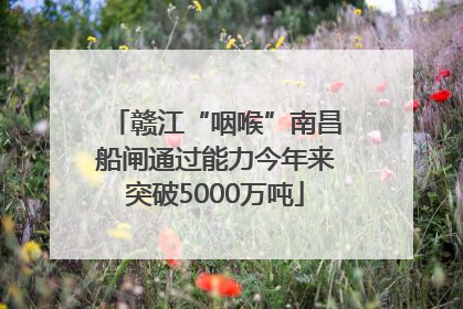 赣江“咽喉”南昌船闸通过能力今年来突破5000万吨