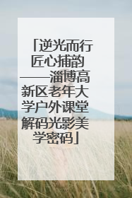 逆光而行 匠心捕韵——淄博高新区老年大学户外课堂解码光影美学密码