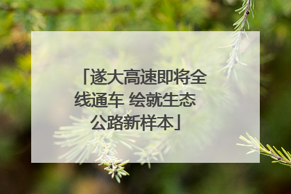 遂大高速即将全线通车 绘就生态公路新样本