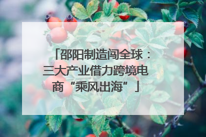 邵阳制造闯全球：三大产业借力跨境电商“乘风出海”