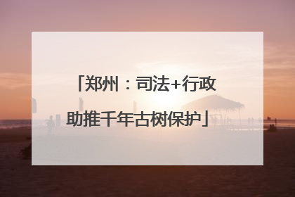 郑州：司法+行政助推千年古树保护