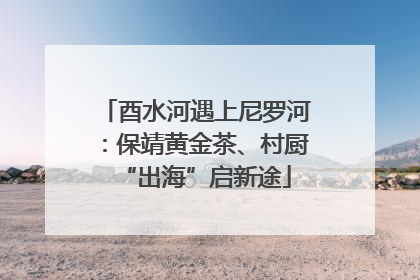 酉水河遇上尼罗河：保靖黄金茶、村厨“出海”启新途