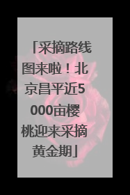 采摘路线图来啦！北京昌平近5000亩樱桃迎来采摘黄金期
