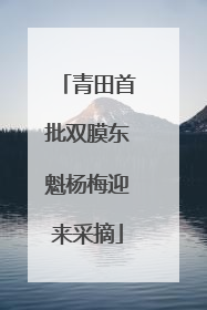 青田首批双膜东魁杨梅迎来采摘