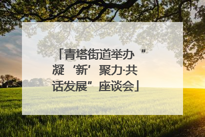 青塔街道举办“凝‘新’聚力·共话发展”座谈会