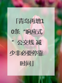 青岛再增10条“响应式”公交线 减少非必要停靠时间