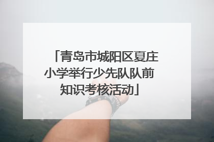 青岛市城阳区夏庄小学举行少先队队前知识考核活动