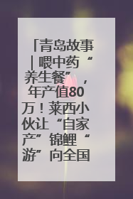 青岛故事｜喂中药“养生餐”，年产值80万！莱西小伙让“自家产”锦鲤“游”向全国