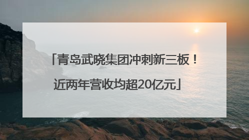 青岛武晓集团冲刺新三板！近两年营收均超20亿元