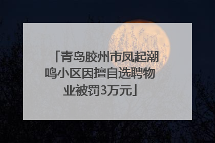 青岛胶州市凤起潮鸣小区因擅自选聘物业被罚3万元