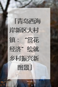 青岛西海岸新区大村镇：“赏花经济”绘就乡村振兴新图景
