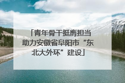 青年骨干挺膺担当 助力安徽省阜阳市“东北大外环”建设