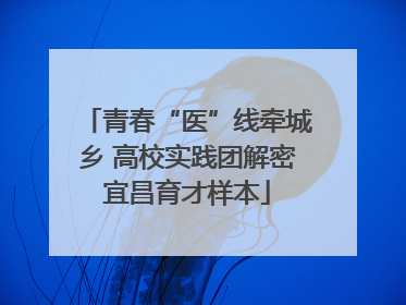青春“医”线牵城乡 高校实践团解密宜昌育才样本