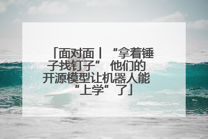面对面丨“拿着锤子找钉子” 他们的开源模型让机器人能“上学”了