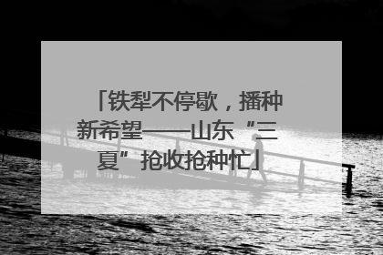 铁犁不停歇，播种新希望——山东“三夏”抢收抢种忙