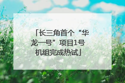 长三角首个“华龙一号”项目1号机组完成热试