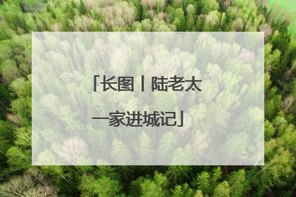 长图丨陆老太一家进城记