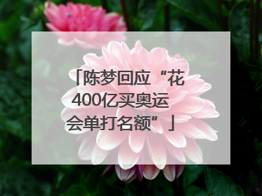 陈梦回应“花400亿买奥运会单打名额”