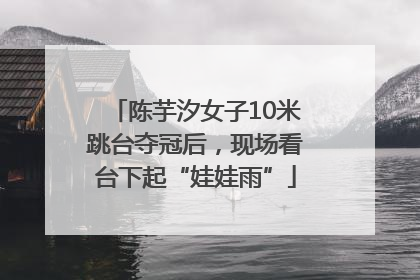 陈芋汐女子10米跳台夺冠后，现场看台下起“娃娃雨”