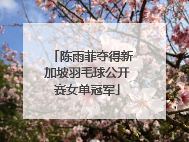 陈雨菲夺得新加坡羽毛球公开赛女单冠军