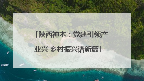 陕西神木：党建引领产业兴 乡村振兴谱新篇