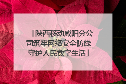 陕西移动咸阳分公司筑牢网络安全防线守护人民数字生活