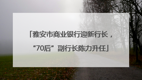 雅安市商业银行迎新行长，“70后”副行长陈力升任