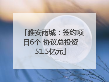 雅安雨城：签约项目6个 协议总投资51.5亿元
