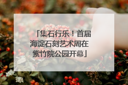 集石行乐！首届海淀石刻艺术周在紫竹院公园开幕