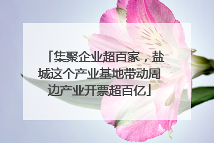 集聚企业超百家，盐城这个产业基地带动周边产业开票超百亿