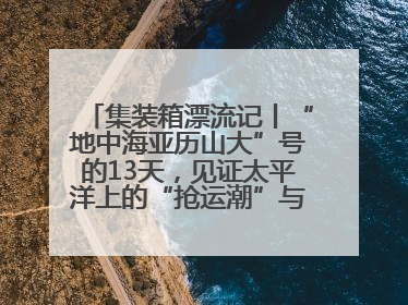 集装箱漂流记丨“地中海亚历山大”号的13天，见证太平洋上的“抢运潮”与“过剩潮”