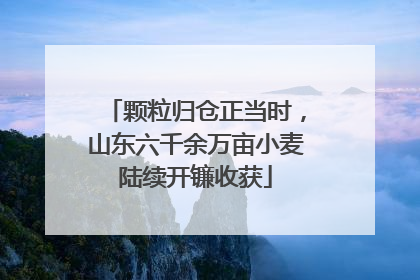 颗粒归仓正当时，山东六千余万亩小麦陆续开镰收获