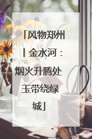 风物郑州丨金水河：烟火升腾处 玉带绕绿城