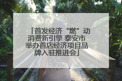 首发经济“燃”动消费新引擎 泰安市举办首店经济项目品牌入驻推进会