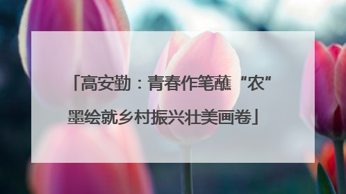 高安勤：青春作笔蘸“农”墨绘就乡村振兴壮美画卷