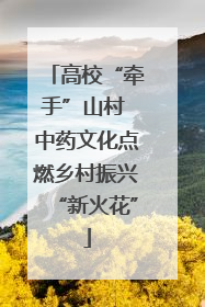 高校“牵手”山村 中药文化点燃乡村振兴“新火花”