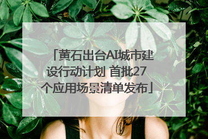 黄石出台AI城市建设行动计划 首批27个应用场景清单发布