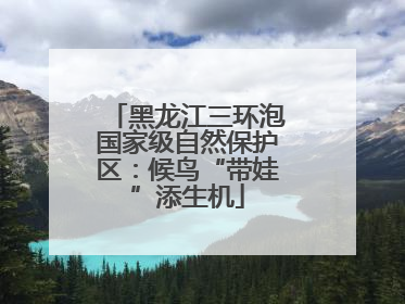黑龙江三环泡国家级自然保护区：候鸟“带娃”添生机