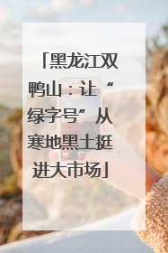 黑龙江双鸭山：让“绿字号”从寒地黑土挺进大市场